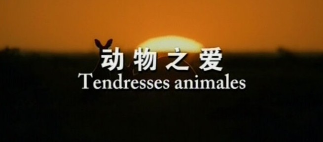 ֮ļȫ