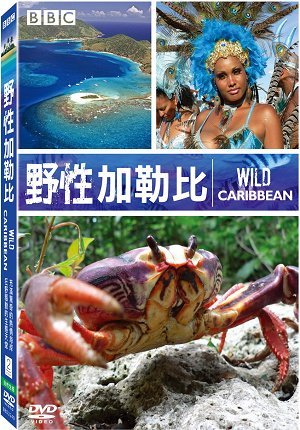 ҰԼձȡBBC
