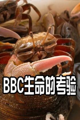 Ŀ顷BBC