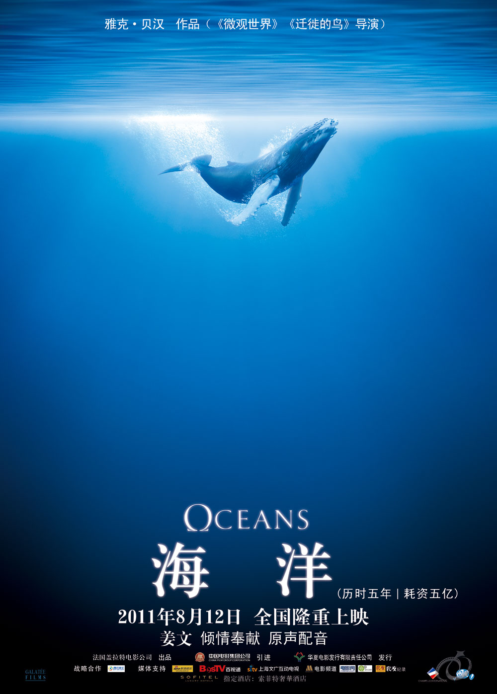 ¼Ƭ/飺