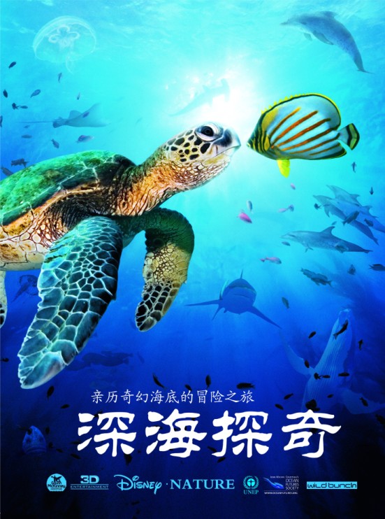 ̽桷