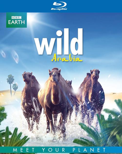 Ұ Wild Arabia2013