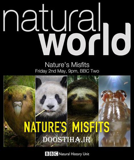 Ȼ/Ȼֶ Nature's Misfits2014