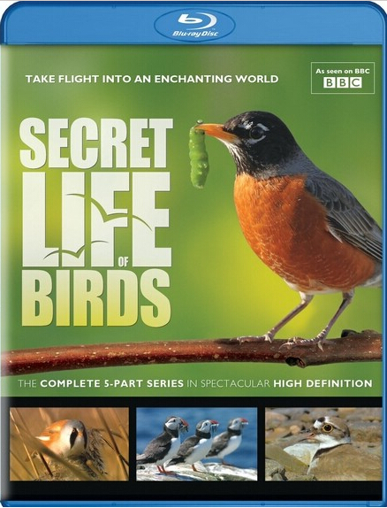 BBC/ Secret Life of Birds2012