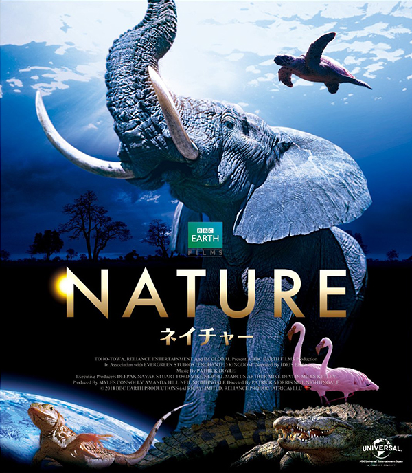 BBCħ3D2014