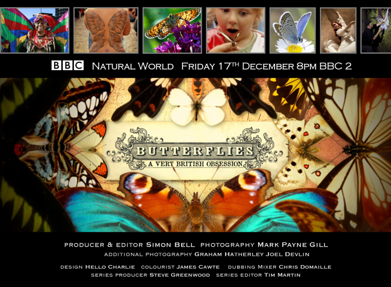 BBC Ȼ磺-Ӣʽ