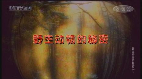 Ұܡһ