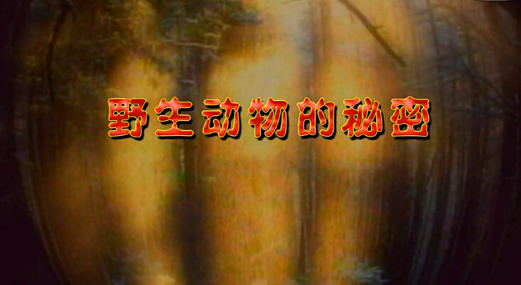 Ұܡ