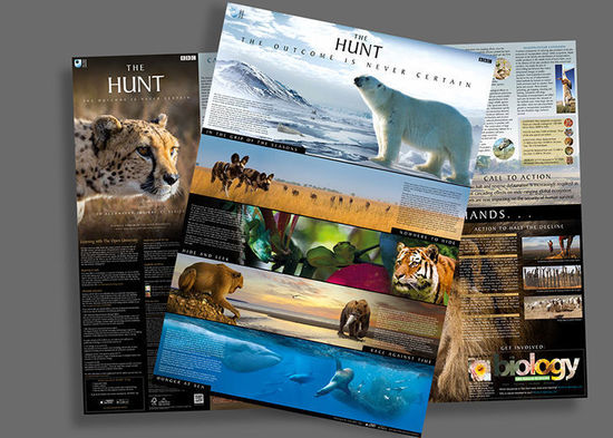 BBCԲ The Hunt2015
