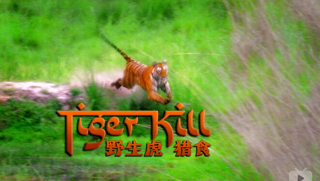 Ȼ磺Ұʳ