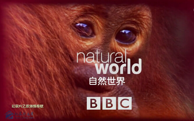 Ȼ磺
