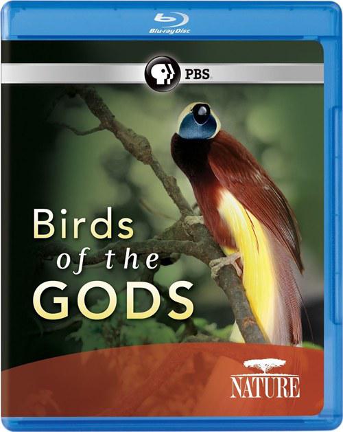  Nature: Birds of the Gods2011