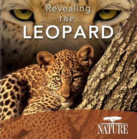 ޱ..1080P.Revealing the Leopard (2010)