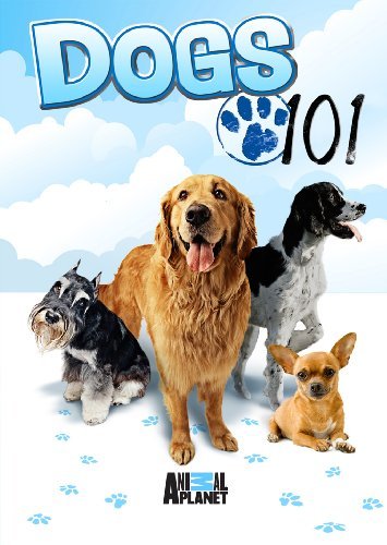 101