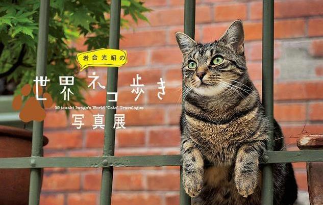 è硷