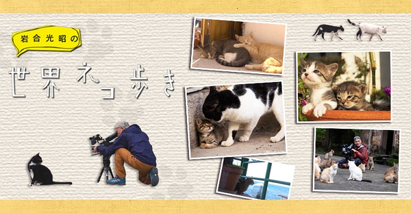 è硷