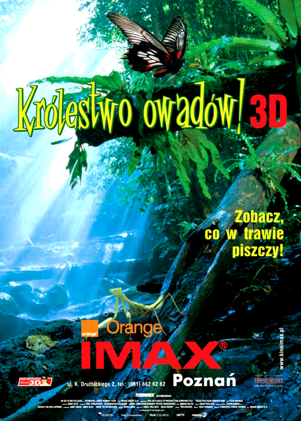 IMAX ӣȴðա