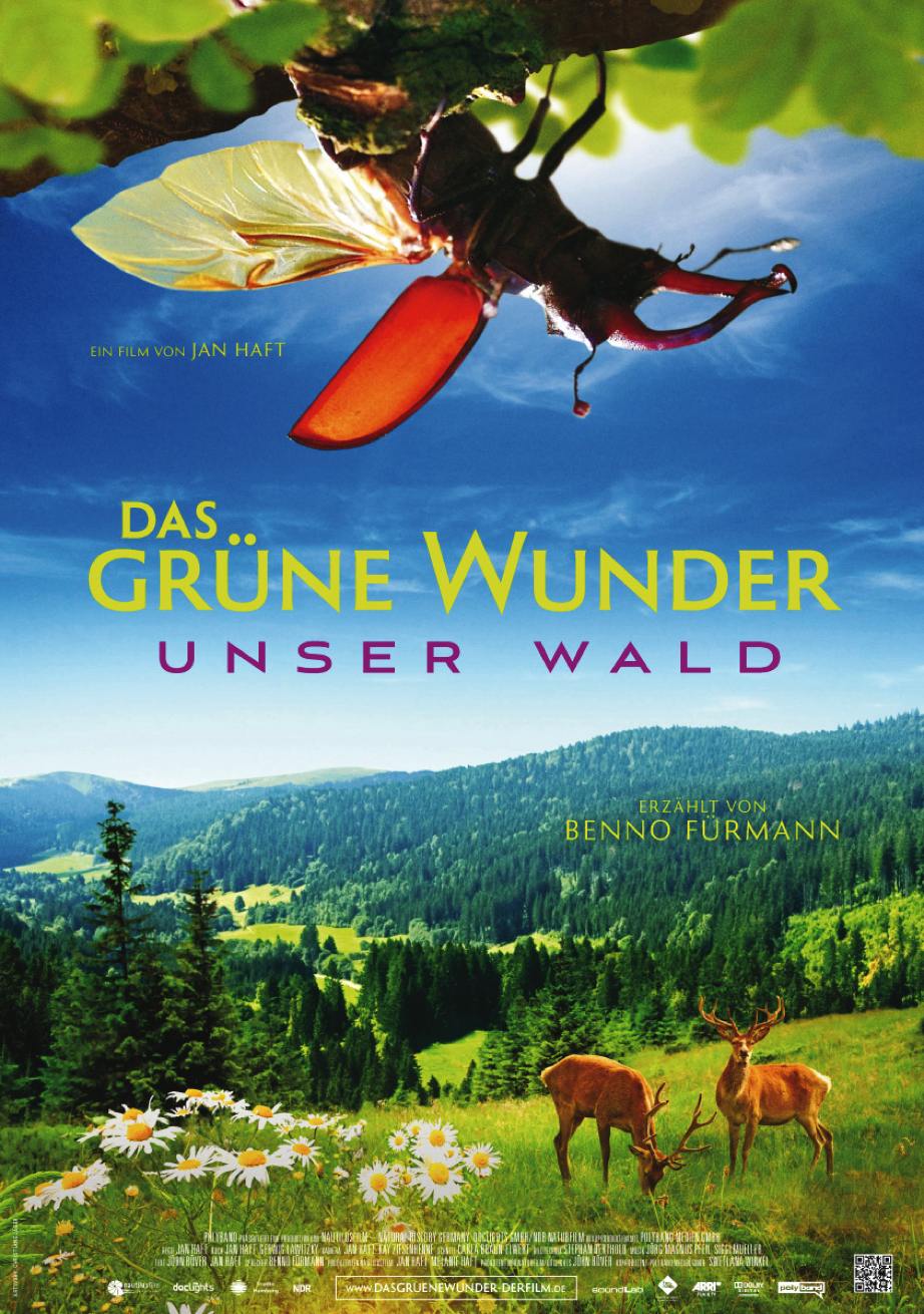  ɫ漣ǵɭ Das grne Wunder - Unser Wald