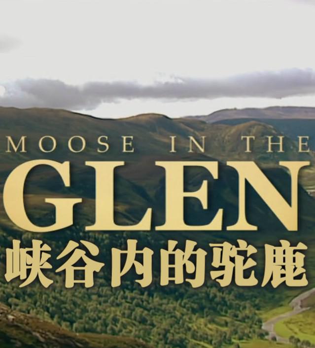 Ͽڵ¹ The Natural World: Moose in the Glen