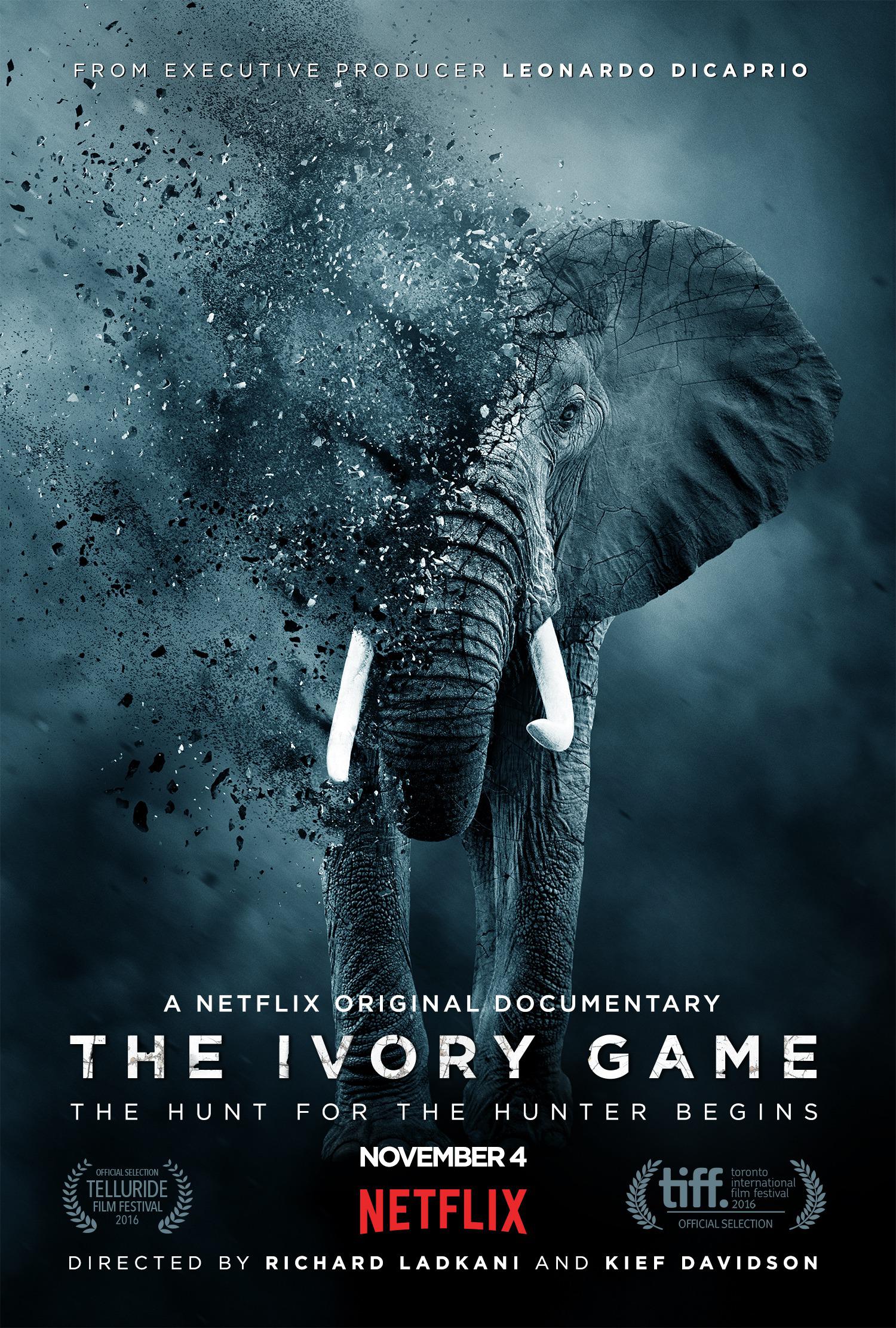 Ϸ The Ivory Game2016