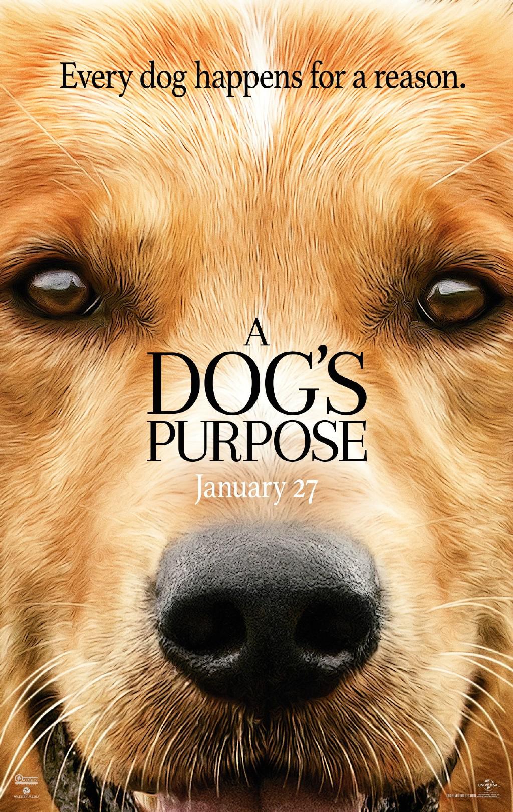 һʹ A Dog's Purpose