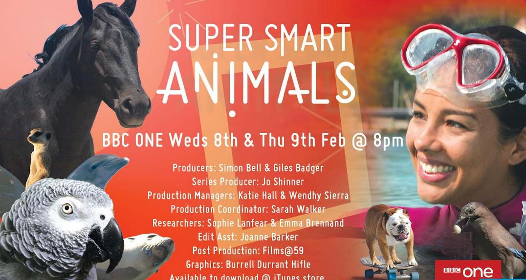 Сǻ Super Smart Animals