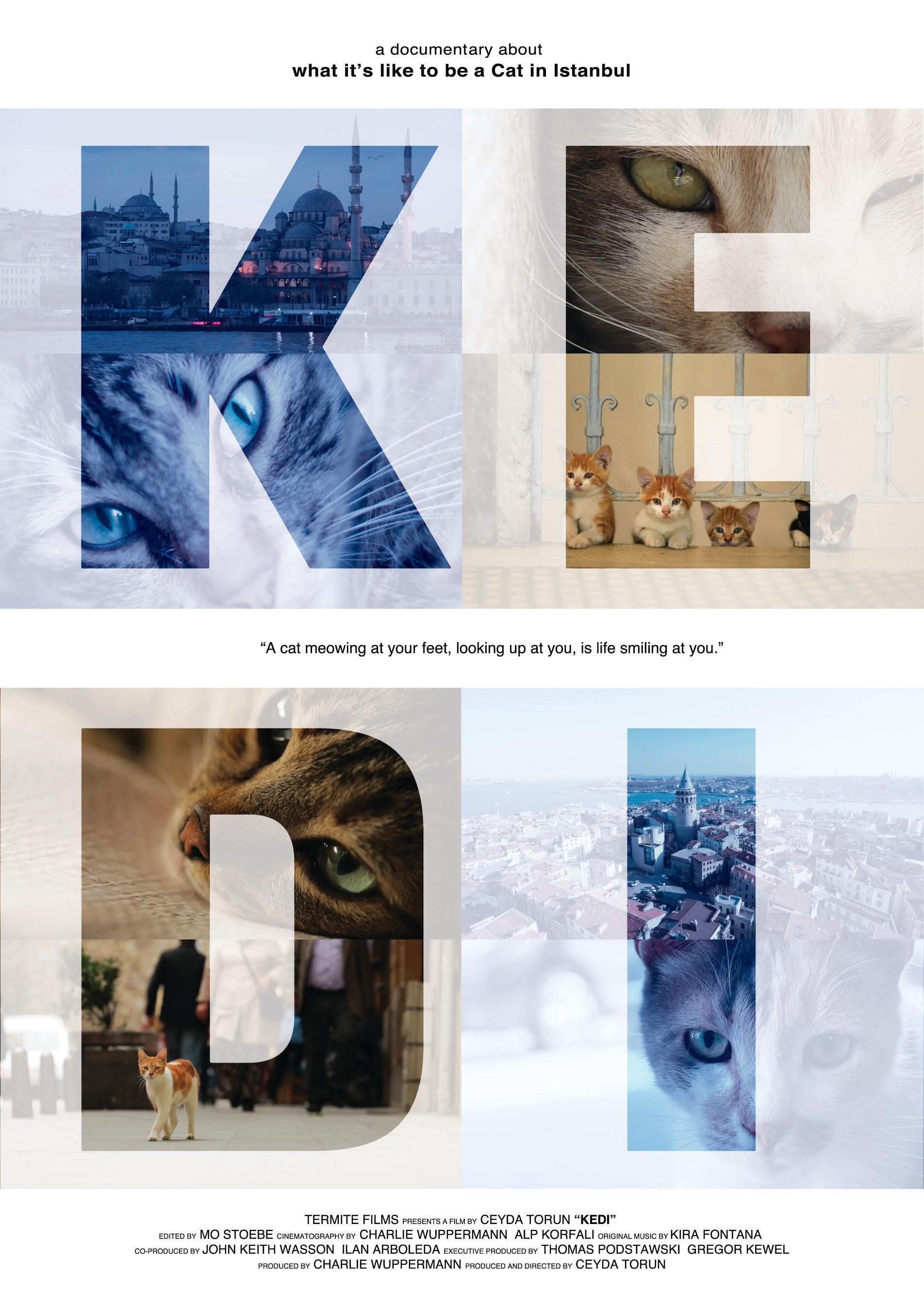 ˹̹è/è֮ Kedi