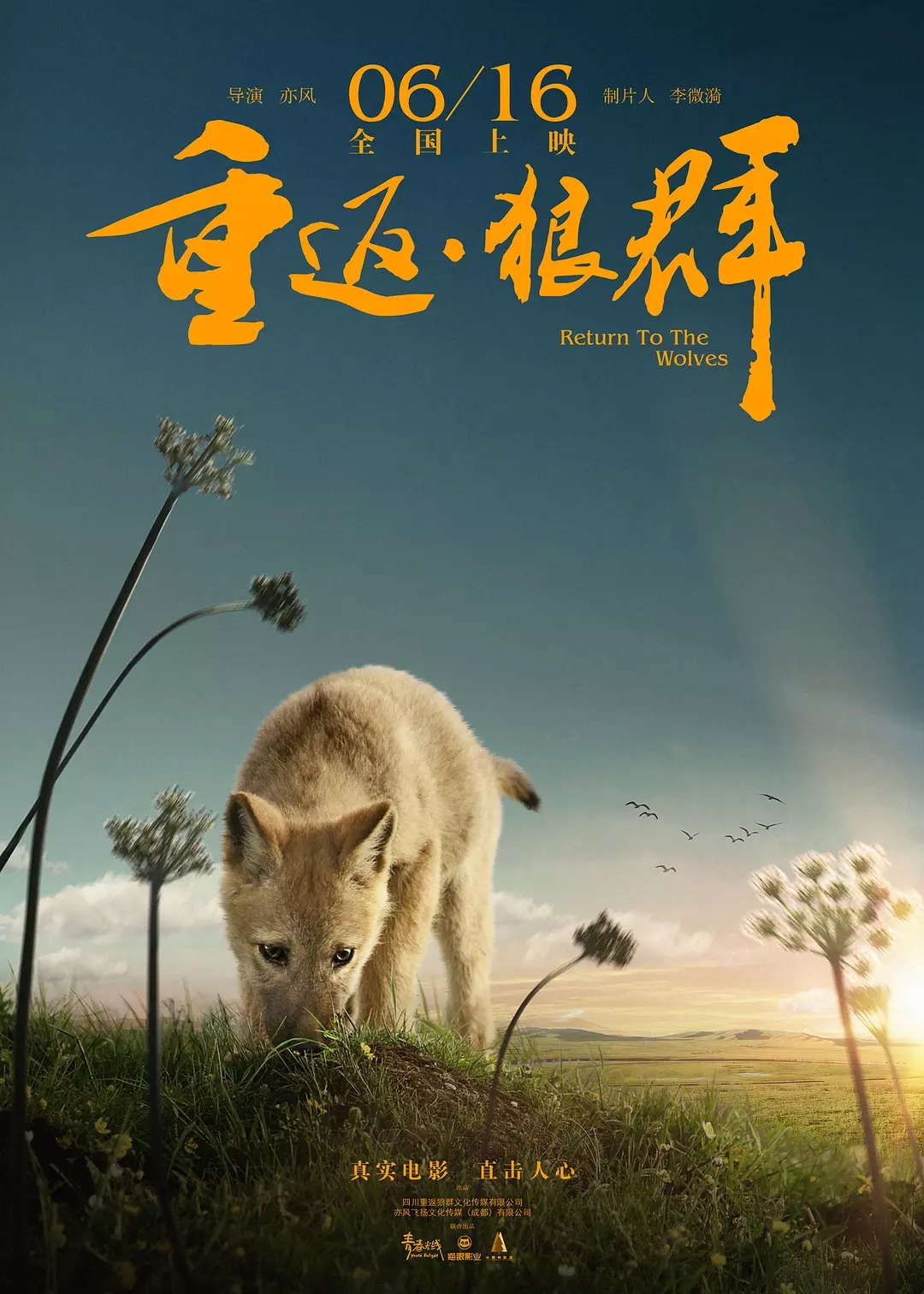 طȺ Return To The Wolves