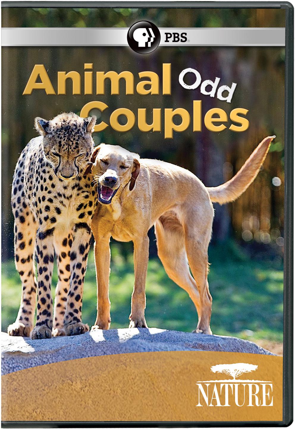 صĶ Animal Odd Couples2013