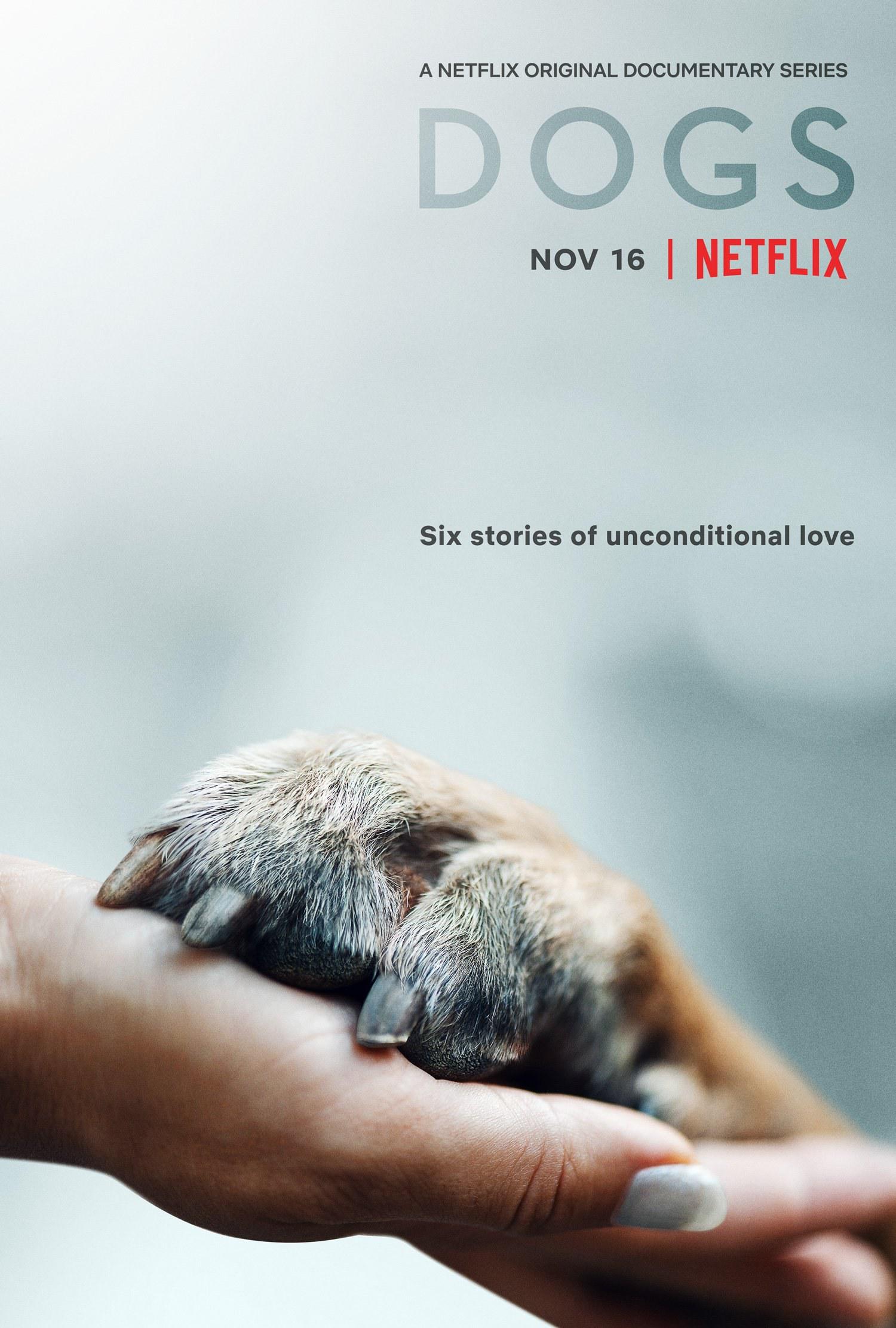 Ȯ Dogs Season2018