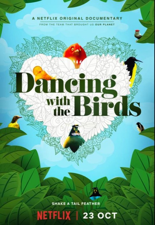 ȸ Dancing with the Birds2019