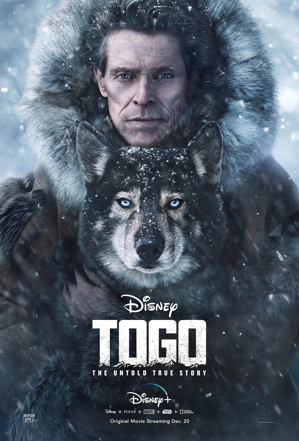  Togo|ʷ¸Ҷ2019