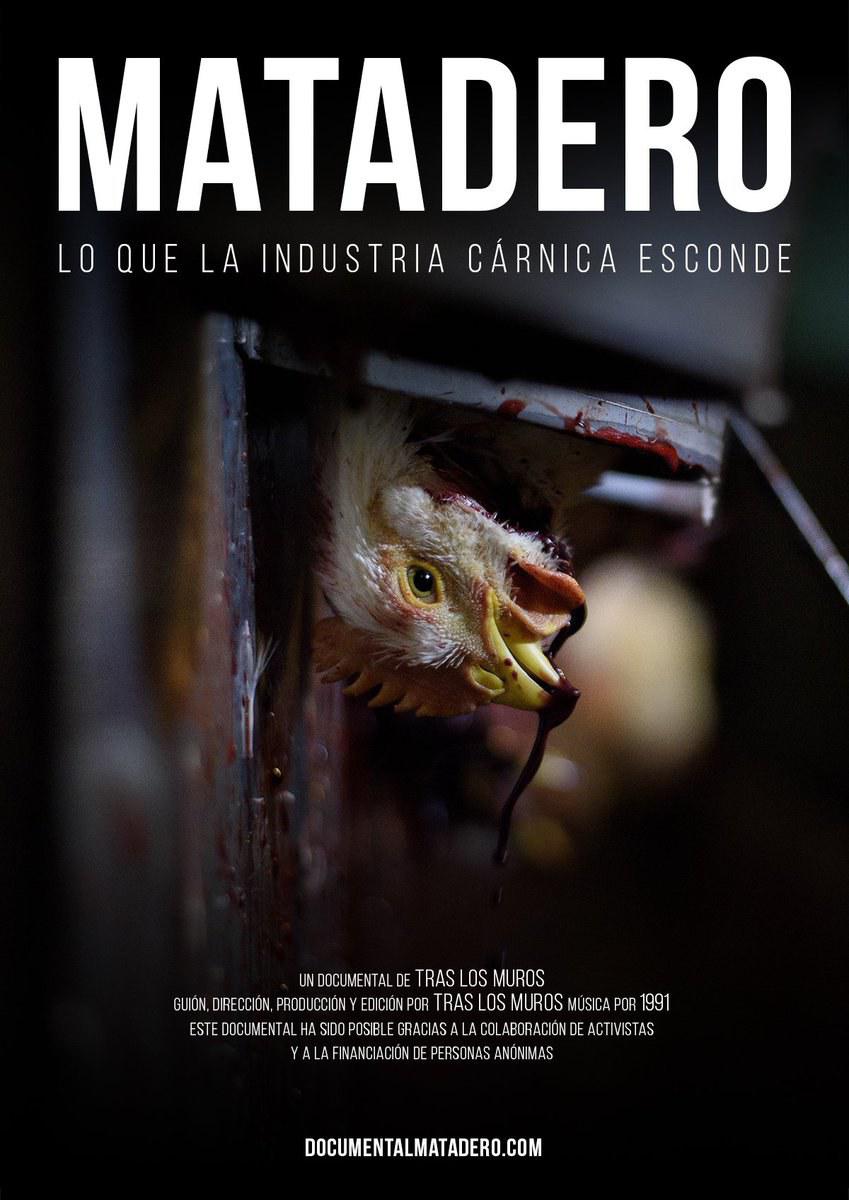׳ҵ matadero2017