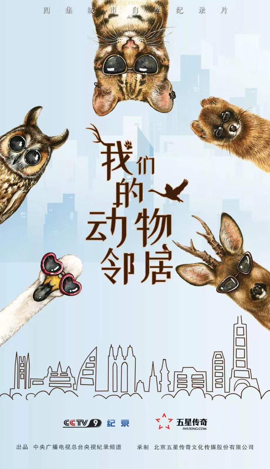 ǵĶھӡ2019