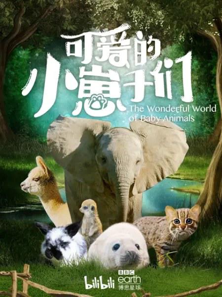ɰС The Wonderful World of Baby Animals2019
