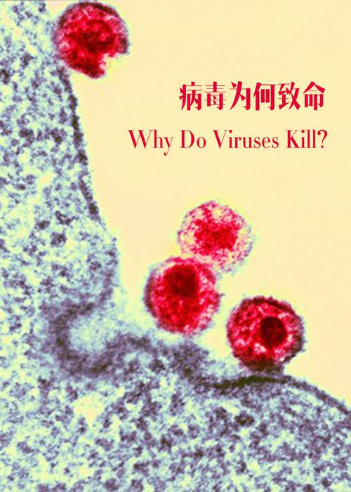 Ϊ Why Do Viruses Kill2010