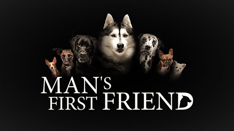 һ Man's First Friend2018