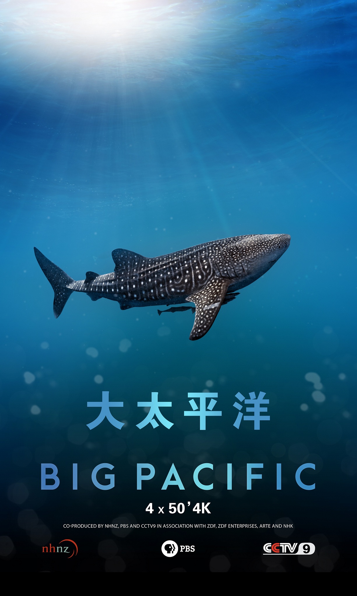 ̫ƽ Big Pacific2017