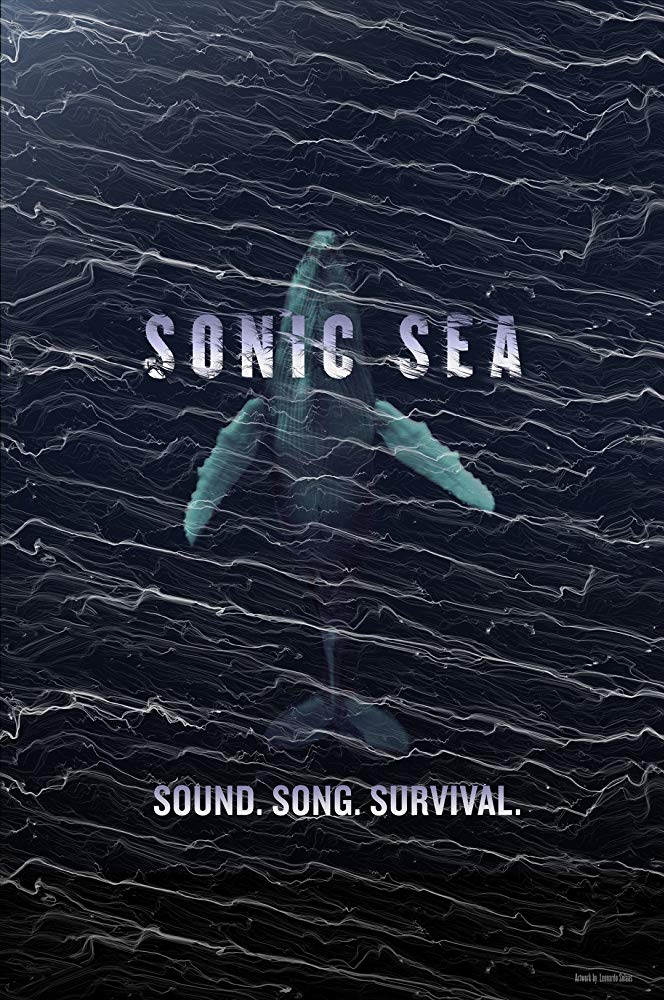  Sonic Sea2015