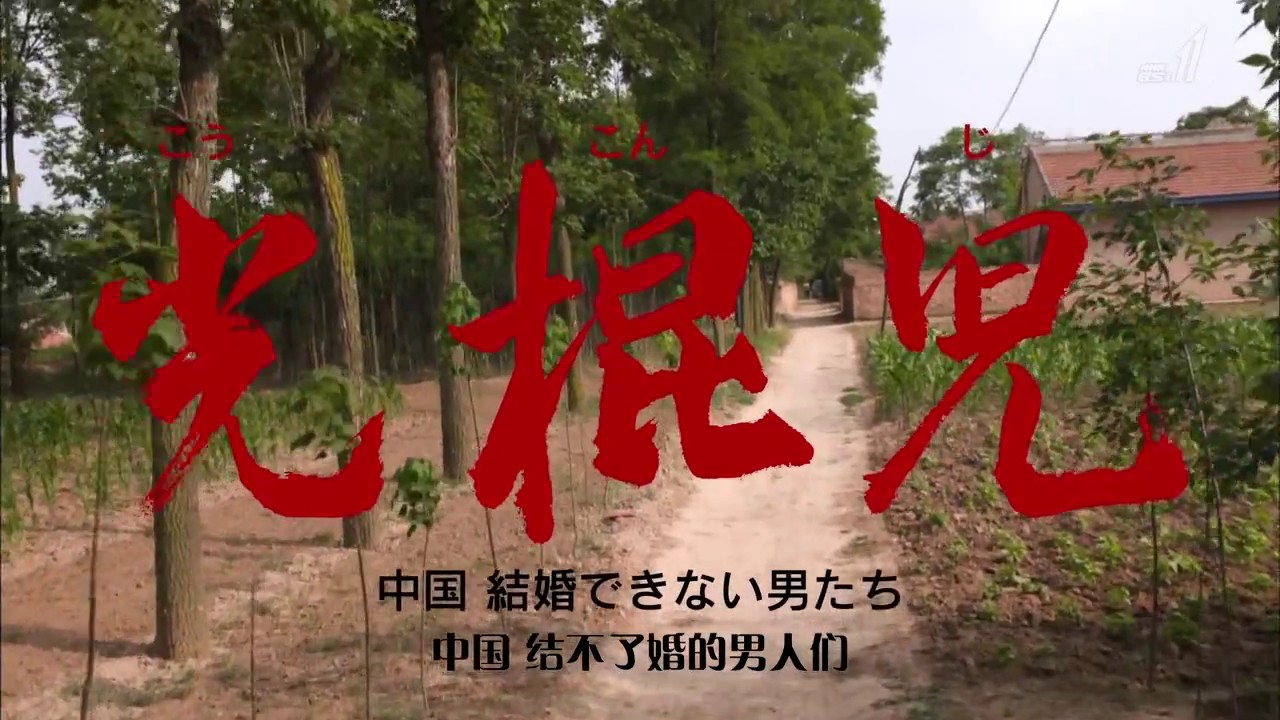 NHKй/й᲻˻ǡ2017