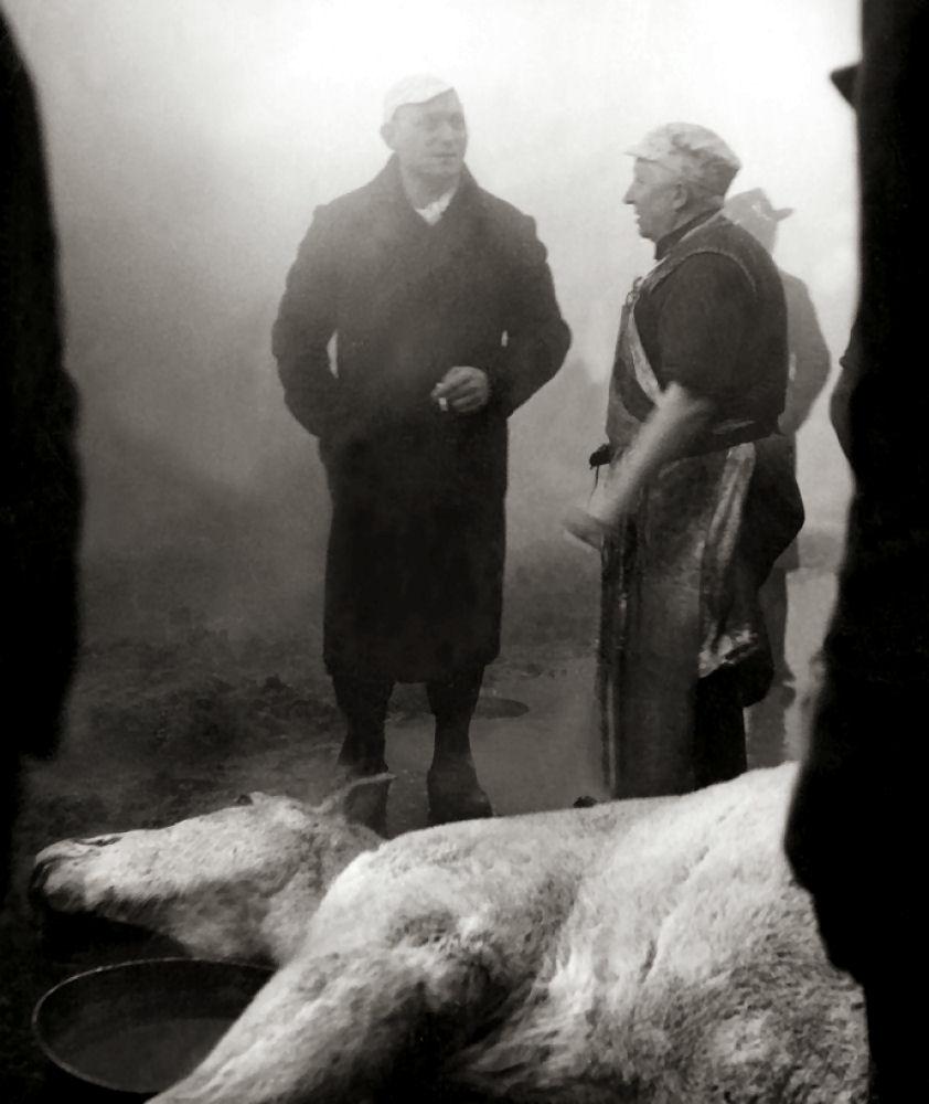֮Ѫ Le Sang des btes1949