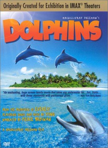  Dolphins2000