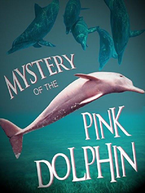 ɫ֮ The Mystery of the Pink Dolphin2015