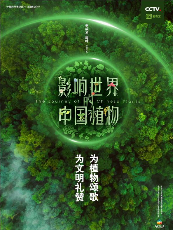 Ӱйֲ2019