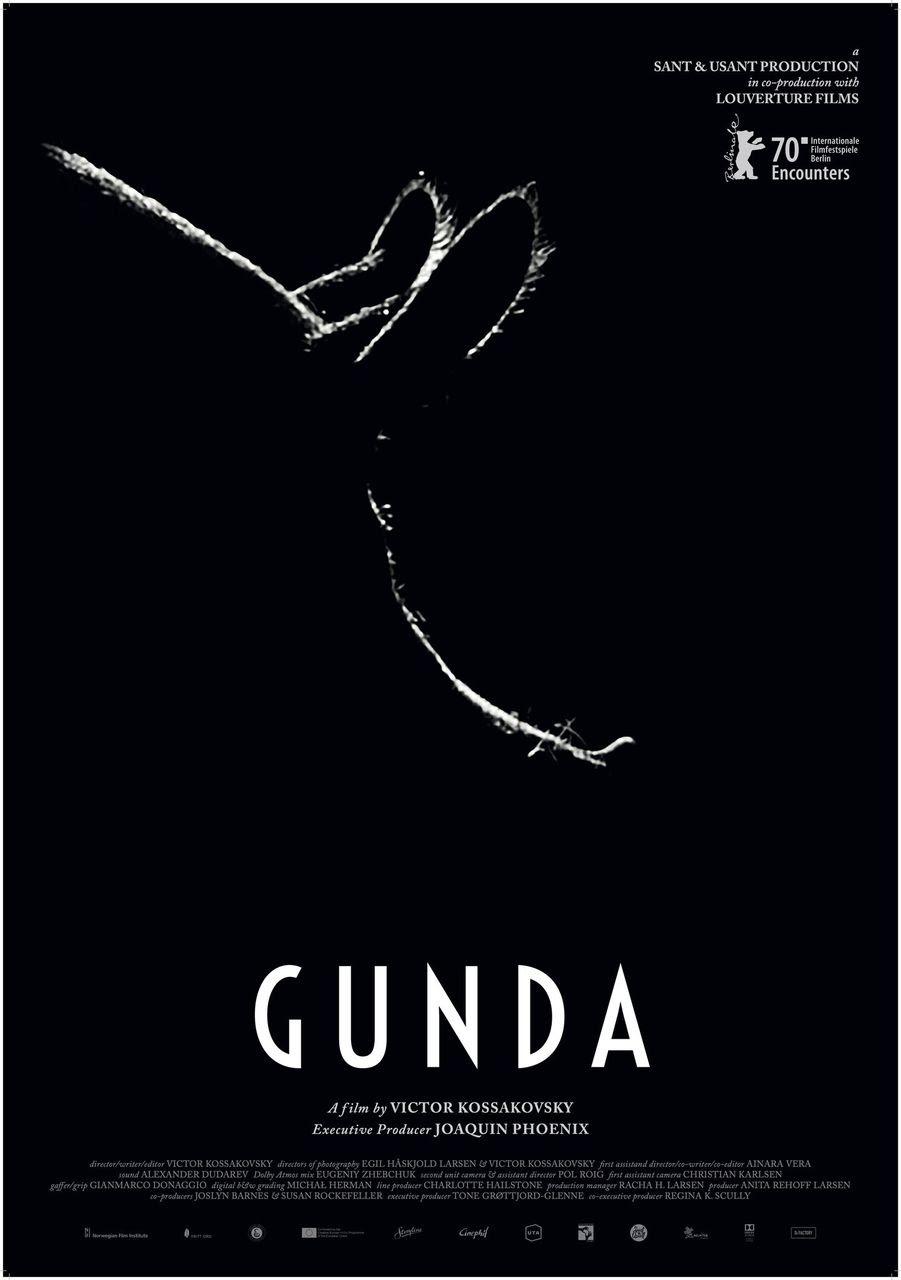  Gunda2020