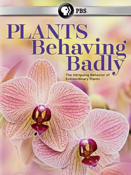 ΪӵĶ һ Animals Behaving Badly Season 12018