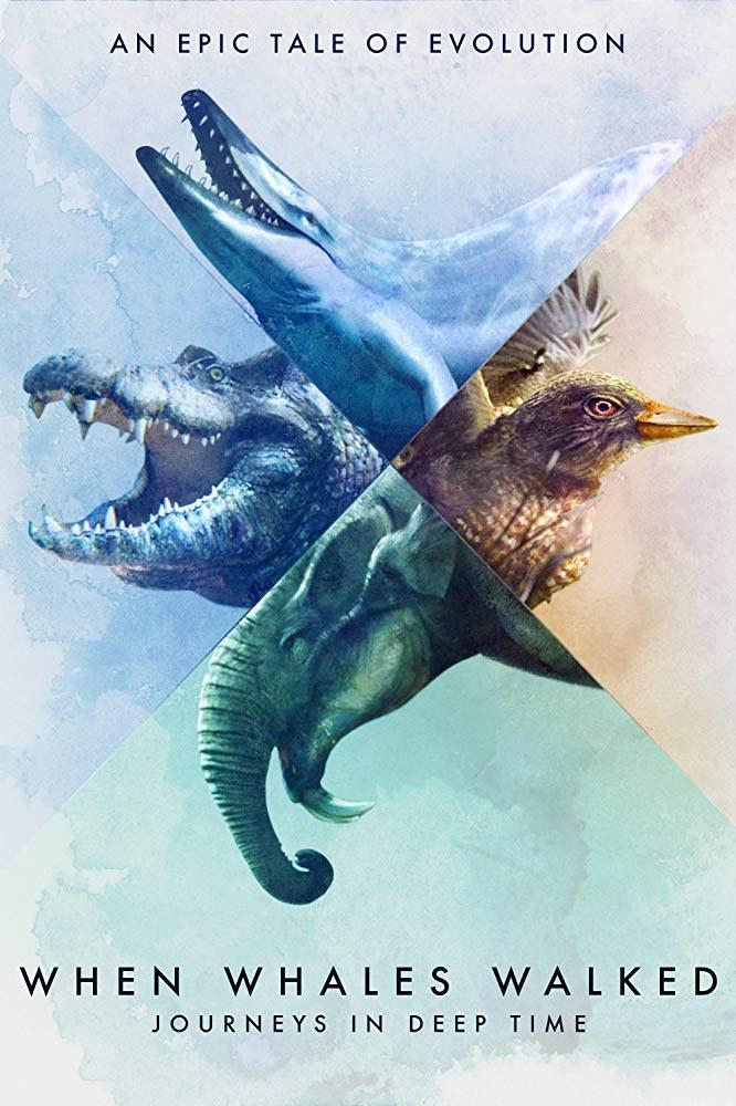 ߣʱ֮ When Whales Walked: Journeys in Deep Time2019 ...