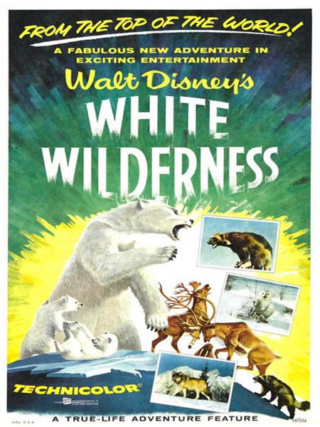 ɫĻĵ/White Wilderness1958