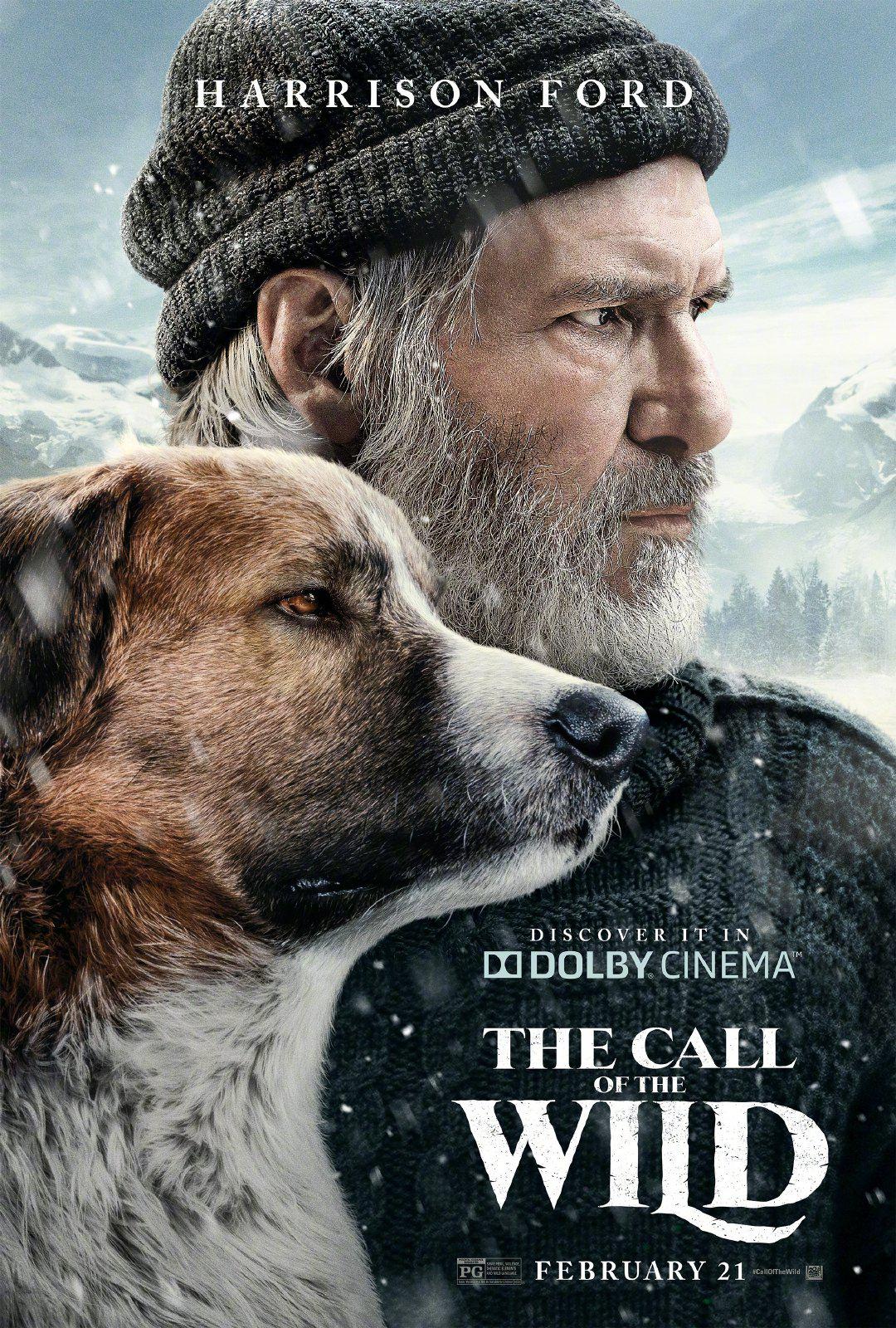 ҰԵĺ The Call of the Wild2020