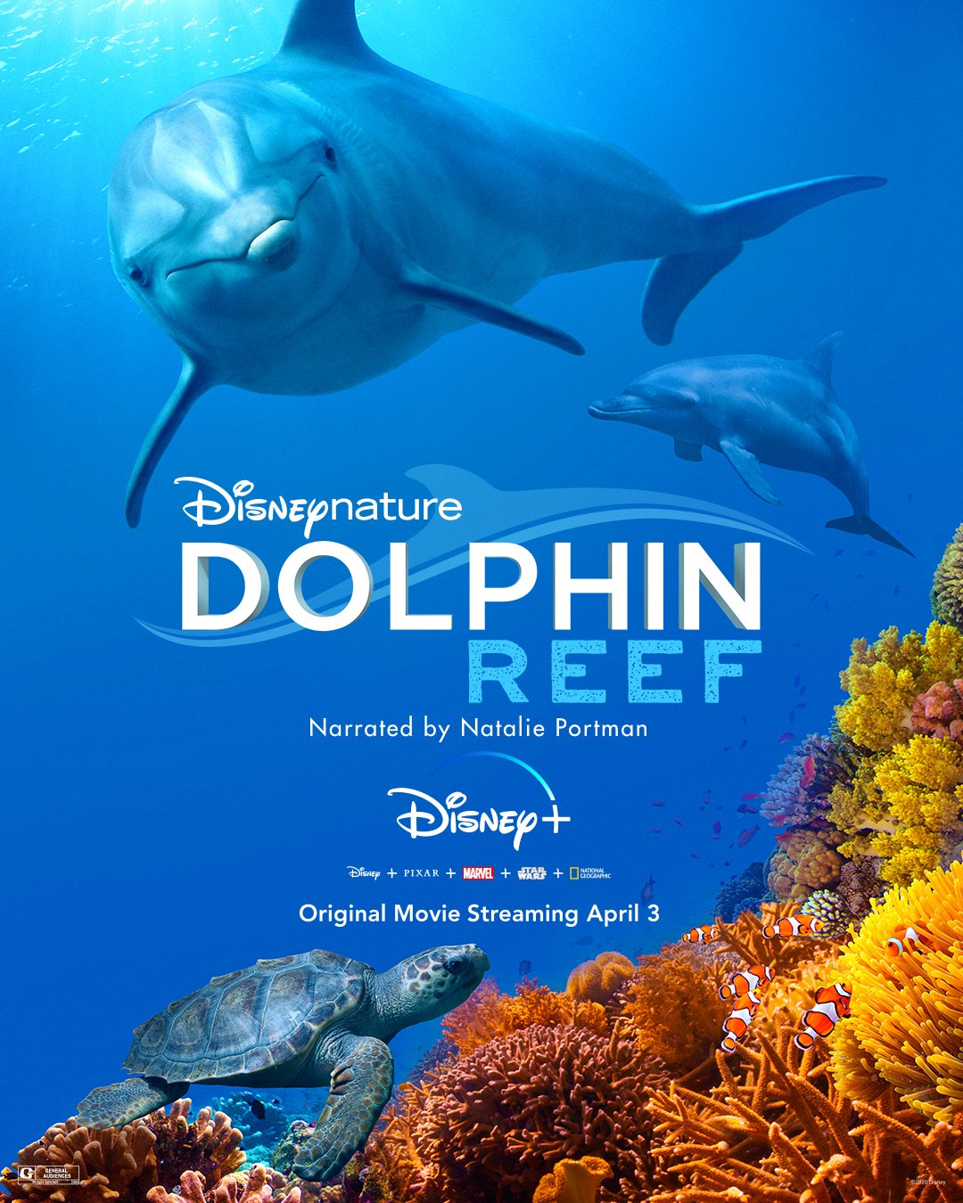 ླྀ Dolphin Reef2020